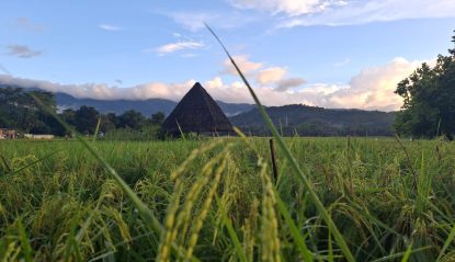 The Manggarai Culture and Hidden Waterfall of Mbeliling